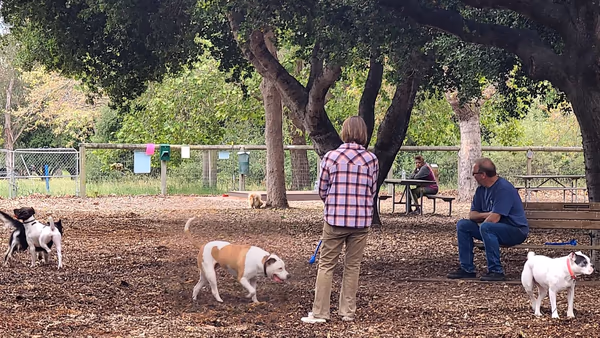 El Chorro Dog Park